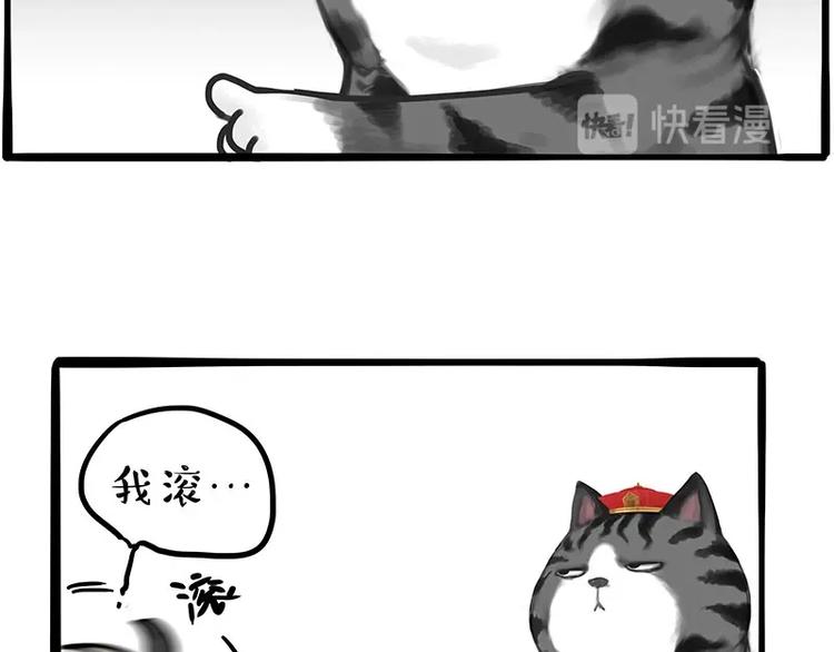 第197话 猫怼狗4