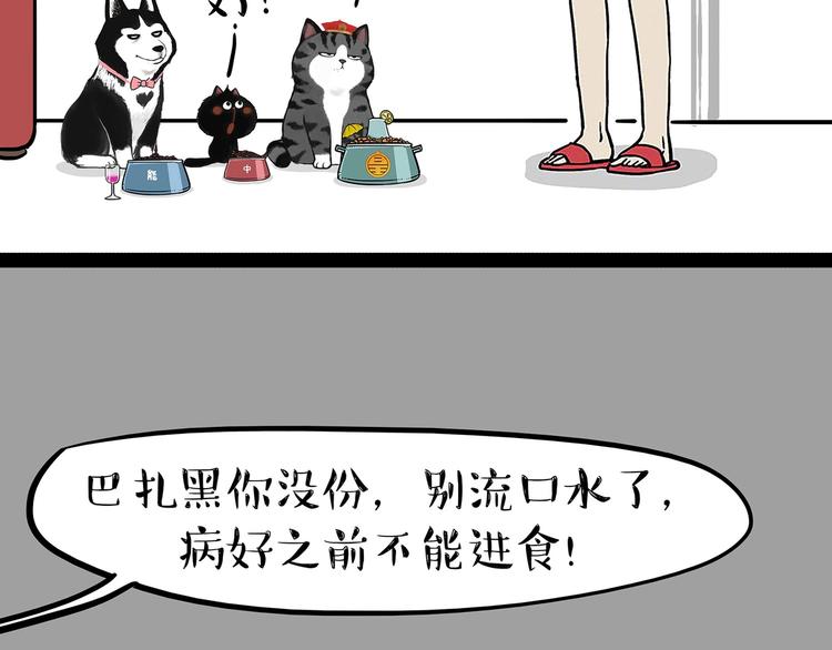 第202话 谁动了吾皇的猫粮2