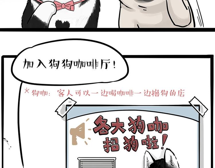 吾皇巴扎黑漫画,第194话 生活不易，猫狗打工2图