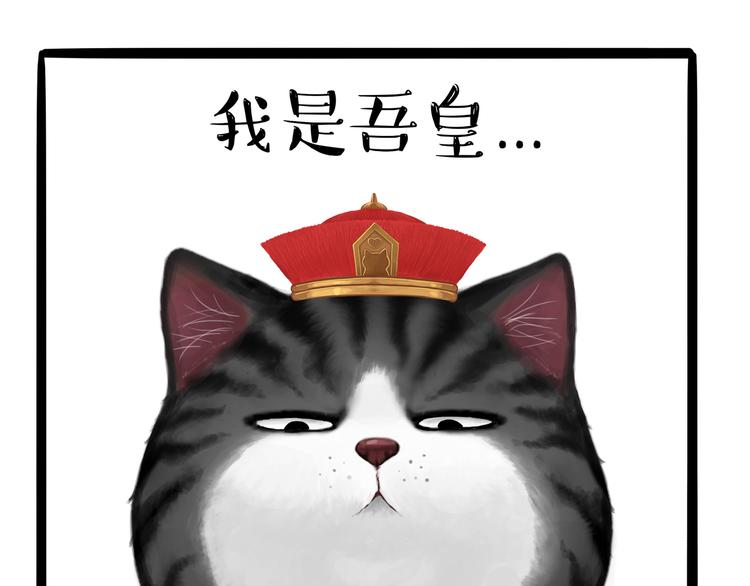 吾皇巴扎黑漫画,第124话 一只尊贵的喵1图