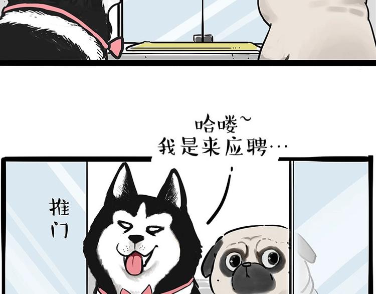 吾皇巴扎黑漫画,第194话 生活不易，猫狗打工5图