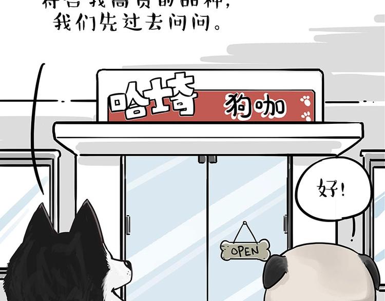 吾皇巴扎黑漫画,第194话 生活不易，猫狗打工4图