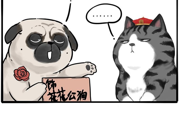 第197话 猫怼狗1