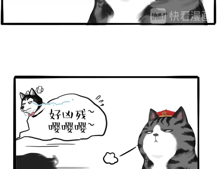 第197话 猫怼狗4