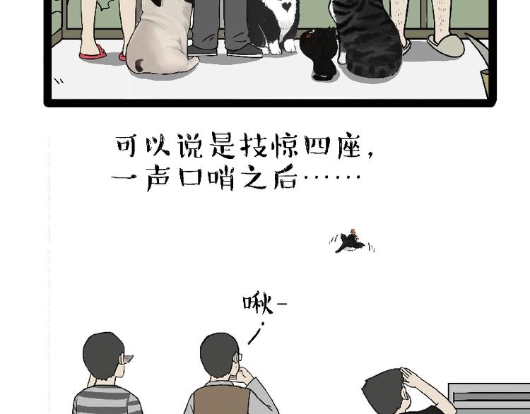 吾皇巴扎黑漫画,第163话 记得回家看看5图