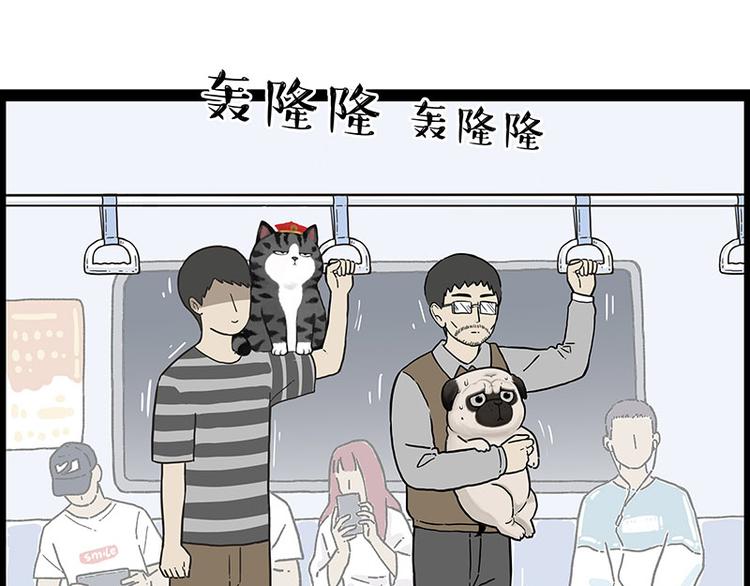 第247话 巴扎猪2