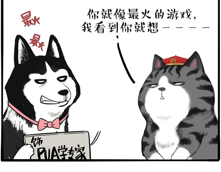 第197话 猫怼狗2