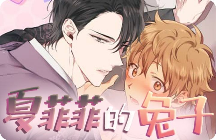  夏菲菲的兔子_banner