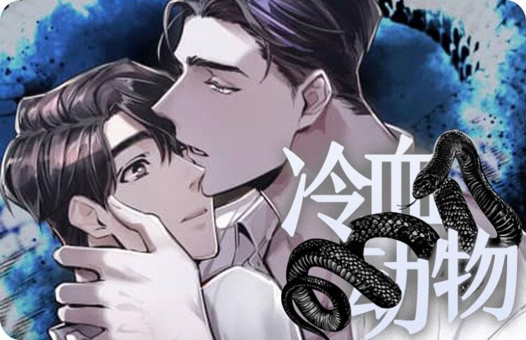 冷血动物漫画免费45话全_banner